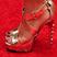 138. Celebrity shoes