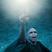 49. Harry Potter