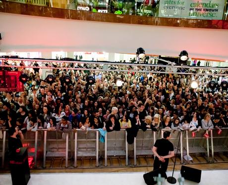 merry hill christmas lights merry hill christmas lights merry hill christmas lights merry hill christmas lights