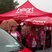 8. Race for Life - Basildon PM