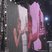39. Bon Jovi at Ashton Gate Stadium 14