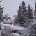 8. Snow Pics from Facebook 12
