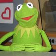kermit