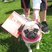 5. Race for Life Brighton - Sunday
