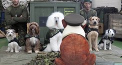Weird And Wonderful Pictures Of The Week