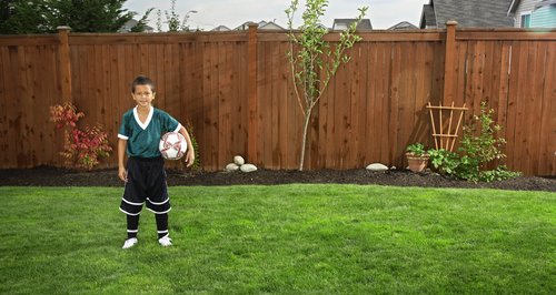 Fence and Football