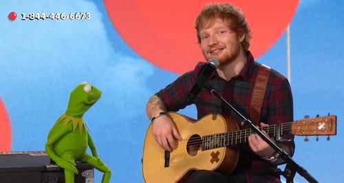 The Frog Singing Together Will Give You The Warm F
