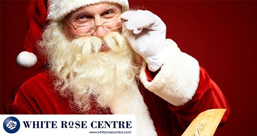 santa white rose article