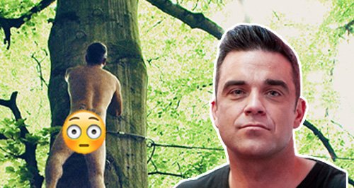 Robbie Williams naked album cover asset